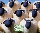 Πρόβατα του κοπαδιού του Shaun